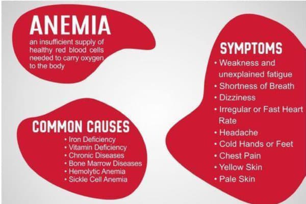 anemia img -1a
